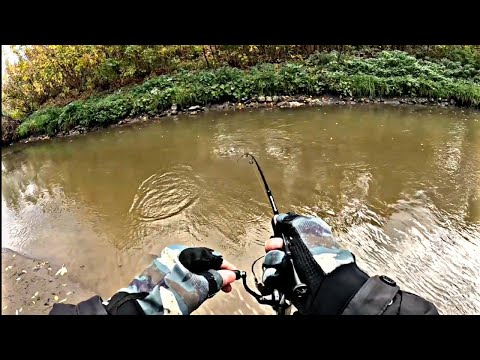 Видео: Мормышинг. По старым местам.