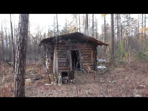 Видео: Таёжная жизнь в уединении.