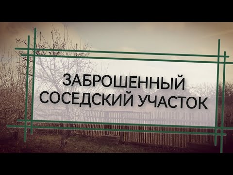 Видео: ЖИЗНЬ В СТАНИЦЕ. Заброшенный соседский участок.