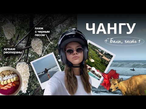 Видео: Vlog | Что особенного НА БАЛИ? Чангу: где поесть, что посмотреть, стильные районы, отель, Переренан