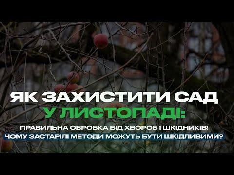 Видео: Чим обробити сад після опадання листя 🍂