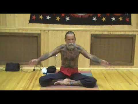 Видео: Рейнхард Гамментхаллер. 2009 Казань. День 1