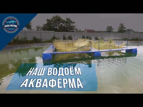 Видео: Пруд АкваФерма Водоём для осетра
