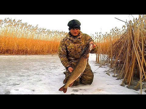 Видео: Жерлицы. Рыбалка на щуку. Зимняя разведка по щучьим местам. Оставил жерлицы на ночь.