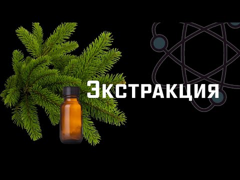 Видео: Экстракция. Эксперимент с хвоей. [ChemistryToday]