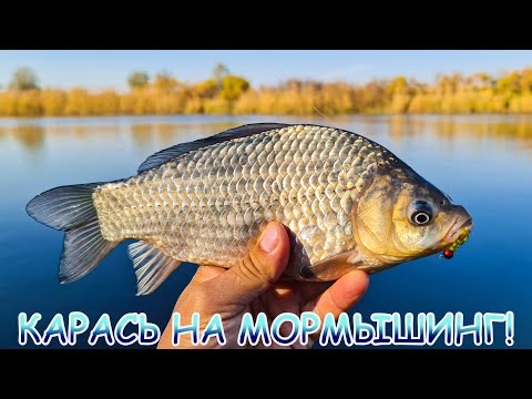 Видео: Карась на МОРМЫШИНГ!