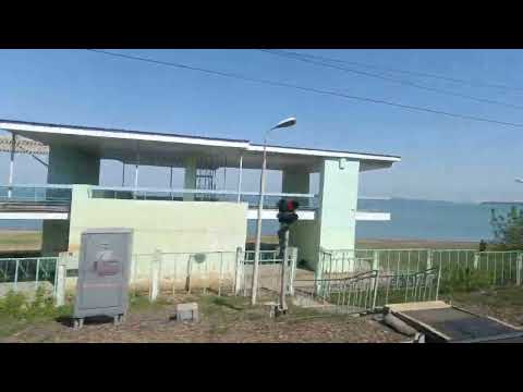 Видео: 11 мая 2024 г.