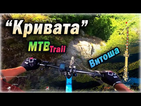 Видео: Витоша - "Кривата" MTB Пътека | Krivata MTB trail - Vitosha Bulgaria🚵‍♀️