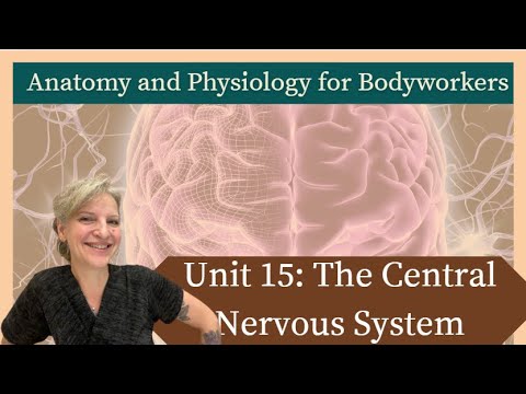 Видео: Модуль 15: Центральная нервная система | Подготовка к MBLEx