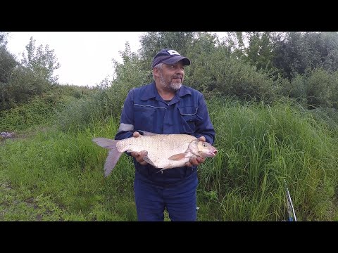 Видео: РЫБАЛКА НА ОКЕ С НОЧЕВКОЙ. ЛЕЩ НА МАКАРОНЫ!!!