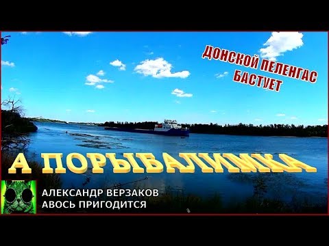 Видео: А порыбалимка. Донской пеленгас бастует.