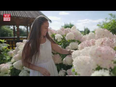 Видео: СЕКРЕТ СИЛЫ, КОТОРУЮ НИКОМУ НЕ ПОБЕДИТЬ | РОДОВЫЕ ПОМЕСТЬЯ И ЭКОПОСЕЛЕНИЯ | ТИЗЕР