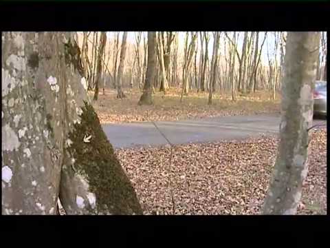 Видео: Наши тесты - Lexus ES 350