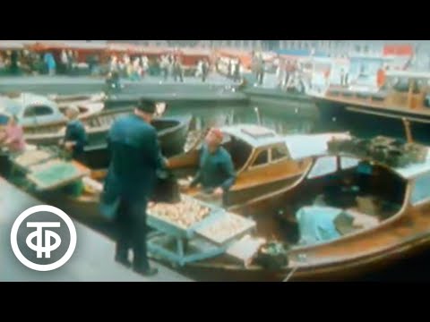 Видео: Экология Балтийского моря. Содружество. Эфир 30 августа 1975