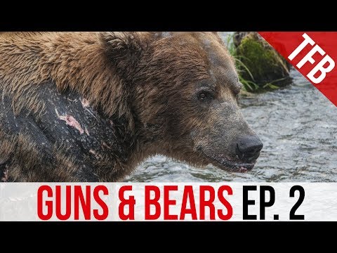 Видео: Guns & Bears: Glock 10 мм или .44 Magnum для защиты?
