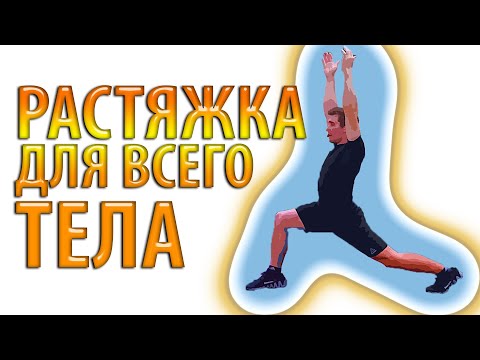 Видео: РАСТЯЖКА ПОСЛЕ ТРЕНИРОВКИ, заминка, стретчинг