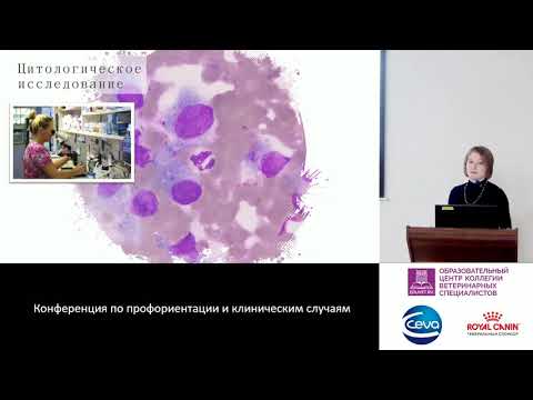 Видео: 17 - Вараксина А. С. - Цитология