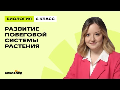 Видео: Развитие побеговой системы растения | Биология 6 класс | Домашняя школа Фоксфорда