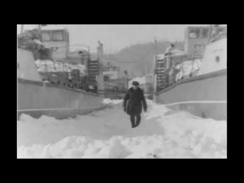 Видео: Аркуль,70-е годы прош.века. Речное пароходство