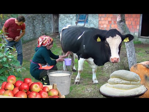Видео: Изготовление сыра в домашних условиях | 1 час аппетитных рецептов сыра в деревне | ХАЧАПУРИ