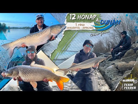 Видео: Döme Gábor - 12 месяцев на Дунае – январь -апрель