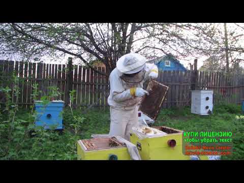 Видео: Постановка и формирование 2 корпуса и первого.