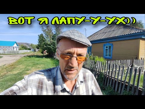 Видео: Вот я лапу-у-ух))