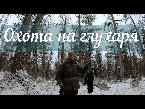 Видео: Охота на глухаря . Вепрь СОК-95 420мм, дтк BRT