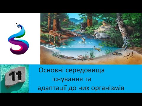 Видео: Основні середовища існування та адаптації до них організмів