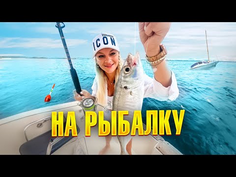 Видео: Морская рыбалка на Коста Бланке – все что нужно знать | Alegria