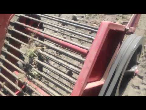 Видео: уборка картофеля 2024г