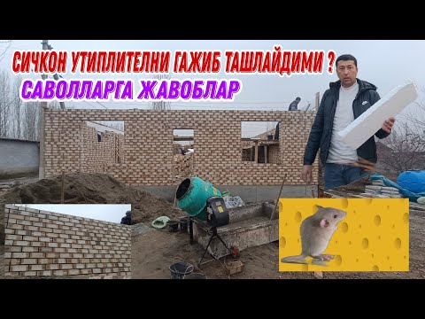 Видео: СИЧКОН УТИПЛИТЕЛНИ  ГАЖИБ ТАШЛАЙДИ?ВА САВОЛ ЖАВОБ