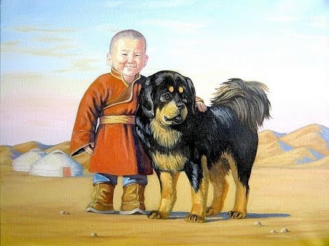 Видео: Монгол баримтат кино (БАНХАР НОХОЙ)