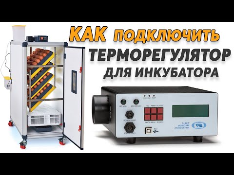 Видео: Как подключить сложный терморегулятор к инкубатору, и не только. Влажность, нагрев, переворот яиц.