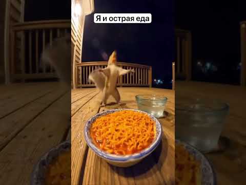 Видео: #подпишись #юмор #смешнойшортс #смех #cat #смешновидео #мем #спорт #топ #memes