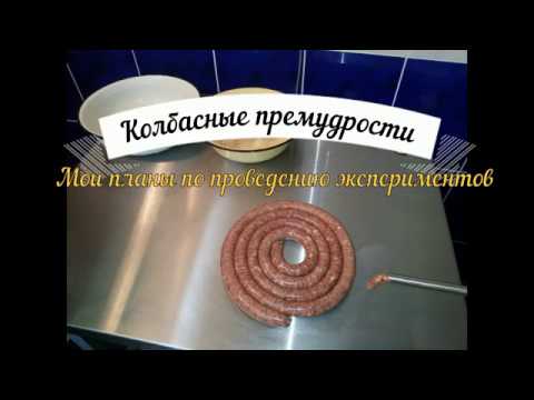 Видео: Как выбрать холодильник под домашнюю климатическую камеру