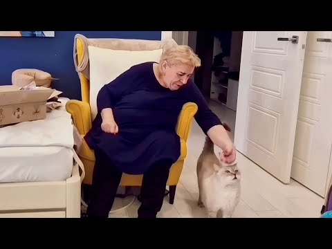 Видео: СУДЬИ БЕЗ ЛИЦА