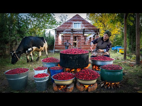 Видео: Вкус осени: Приготовление Пасты из Кизила для Консервации