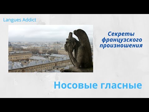 Видео: Французская фонетика 6. Как научиться произносить носовые гласные?