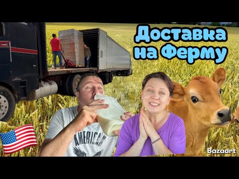Видео: Дальнобойная эстафета // team Trucking // Дальнобой по США июнь 2025
