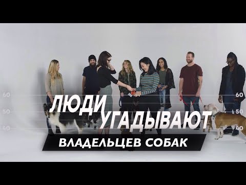 Видео: 🔥Люди Угадывают Владельцев Собак🔥