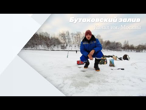 Видео: Зимния рыбалка со льда на Бутаковском заливе/Канал им. Москвы