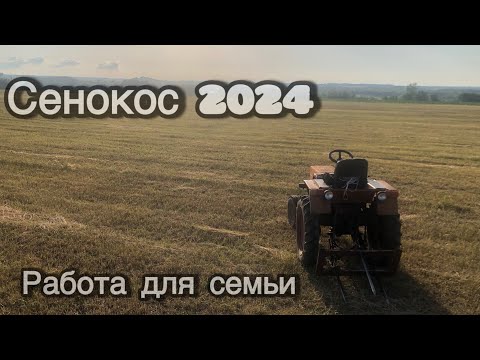 Видео: Семья переехала в деревню и начала кормить матушку страну! заготовка сена 2024 .откорм быков