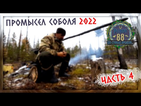 Видео: Регион 88 | Промысел соболя 2022. Часть 4