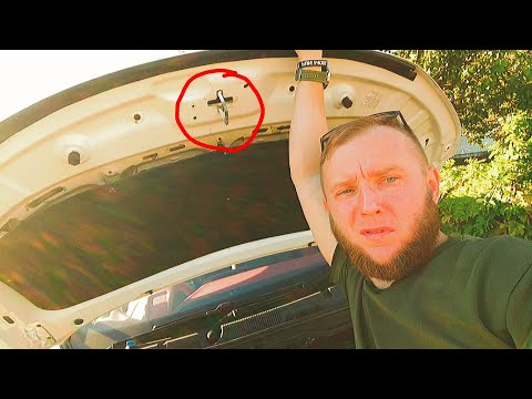 Видео: ЗАРЖАВЕЛ за ДВЕ НЕДЕЛИ BELGEE X 50