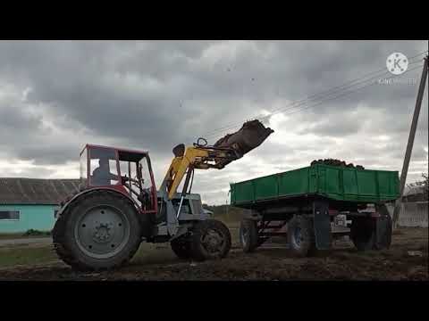 Видео: Как трактор Т-40 АМ с куном помогает при вывозке навоза?