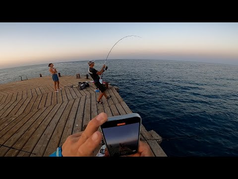 Видео: Рыбалка в Египте! Как правильно провести отпуск на Красном море