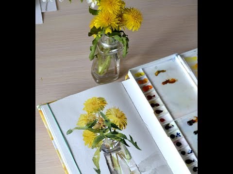 Видео: Выкраска акварели Mijello Gold Mission Рисуем ОДУВАНЧИКИ, пробуя новые краски.