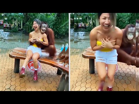 Видео: ПРИКОЛЫ С ЖИВОТНЫМИ | 10 МИНУТ СМЕХА | ПОПРОБУЙ НЕ ЗАСМЕЯТЬСЯ | СМЕХ ДО СЛЁЗ