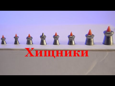 Видео: Настоящие охотничьи пули для пневматики